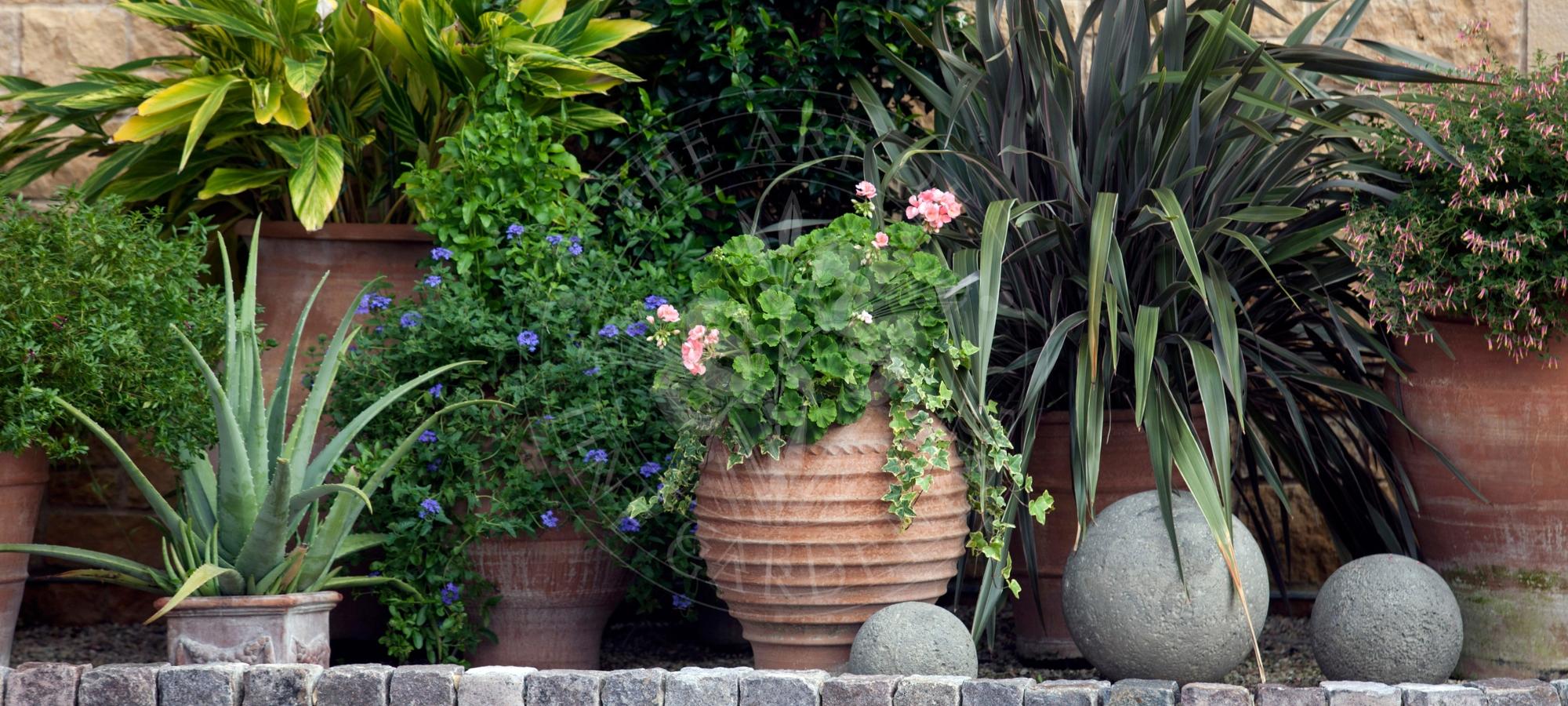 Craig Bergmann Landscape Design